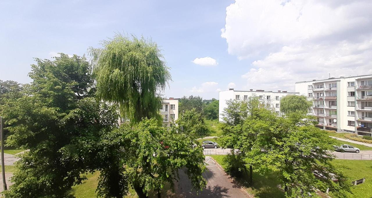 Bursztynowy Apartament Tarnowskie Góry Εξωτερικό φωτογραφία