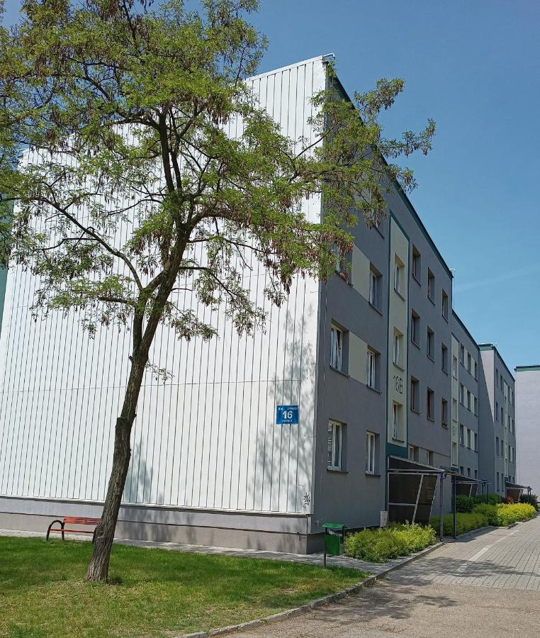 Bursztynowy Apartament Tarnowskie Góry Εξωτερικό φωτογραφία